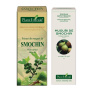Smochin - muguri - gemoderivat  - 50ml - PlantExtrakt