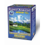 Ceai ayurvedic memorie - BRAHMI - 100g Everest Ayurveda