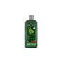 Sampon cu urzica, eco-bio, 250ml - LOGONA