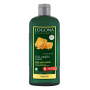 Sampon pentru volum cu bere si miere, eco-bio, 250ml - LOGONA
