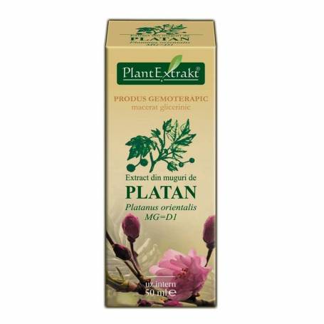 Platan - muguri - gemoderivat  - 50ml - PlantExtrakt