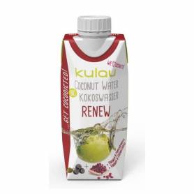 APA DE COCOS RENEW BIO 330ml - KULAU