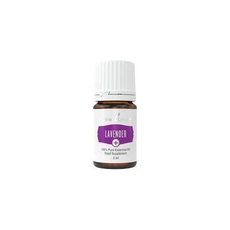 Ulei esential de Lavanda Lavender Plus 5ml, Young Living