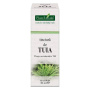 Tinctura de TUIA - 50ml - PlantExtrakt