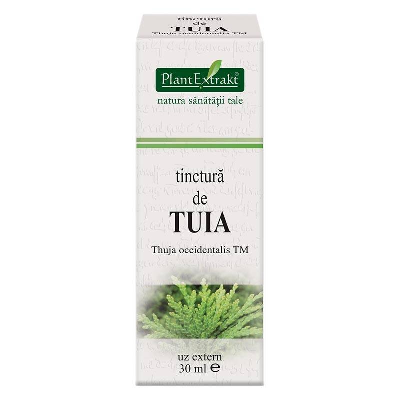 Tinctura de tuia - 30ml - plantextrakt