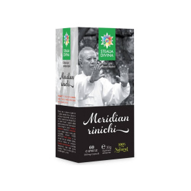 MERIDIAN RINICHI 60cps, Steaua Divina