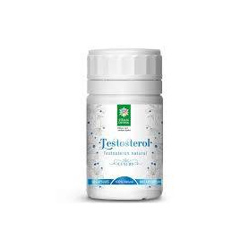 TESTOSTEROL 90cps, Steaua Divina