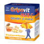 GRIPOVIT MAX C GHIMBIR MIERE 10pl, Zdrovit