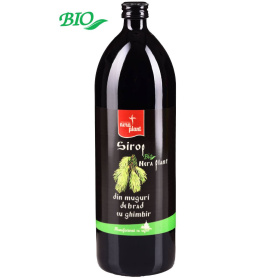 Sirop din muguri de brad cu ghimbir, 1000ml - Nera Plant