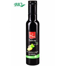 Sirop de coacaze negre cu lamaie 250ml - Nera Plant