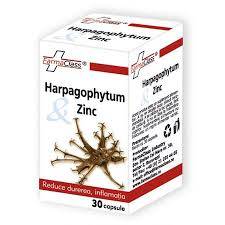 Harpagophytum si zinc 30cps, farmaclass