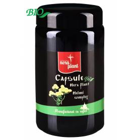 Helmi complex, Nera Plant