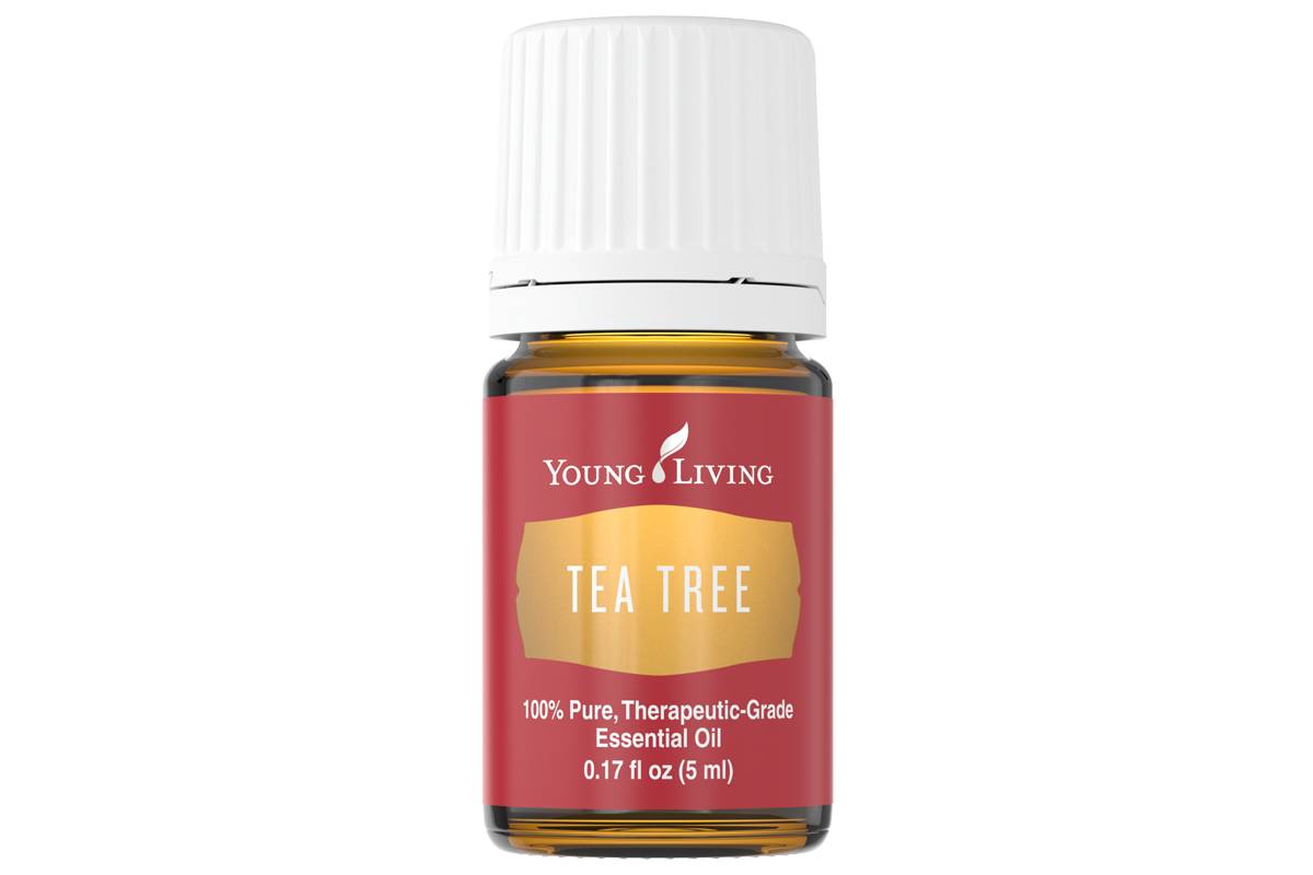 Ulei esential de tea tree essential oil, 5ml - young living