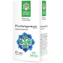 PROSTATA PROTECT tinctura 50 ml, Steaua Divina