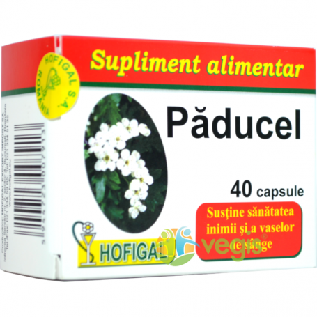 paducel 40cps Hofigal