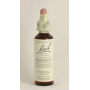 Bach1 Agrimony (turita mare ) 20ml - Bach remedy florale