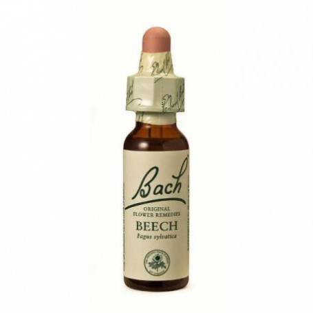 Bach3 Beech ( fag ) 20ml - Bach remedy florale