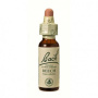 Bach3 Beech ( fag ) 20ml - Bach remedy florale