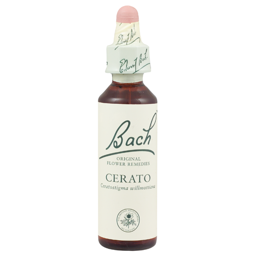 Cerato ( bach5 ) 20ml - remediu floral bach