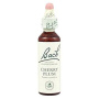 Cherry plum sau Corcodus ( Bach 6 ) 20ml - Remediu Floral Bach