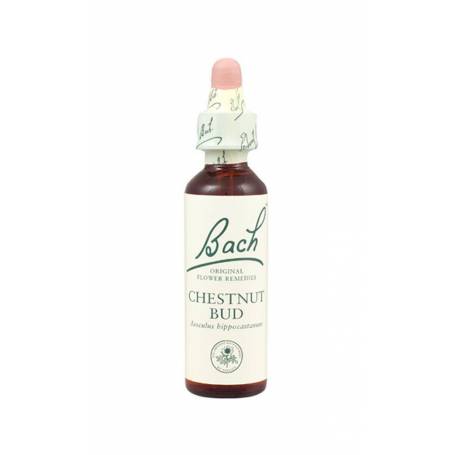 Chestnut Bud sau Castan salbatic (Bach 7 ) 20ml - Remediu Floral Bach