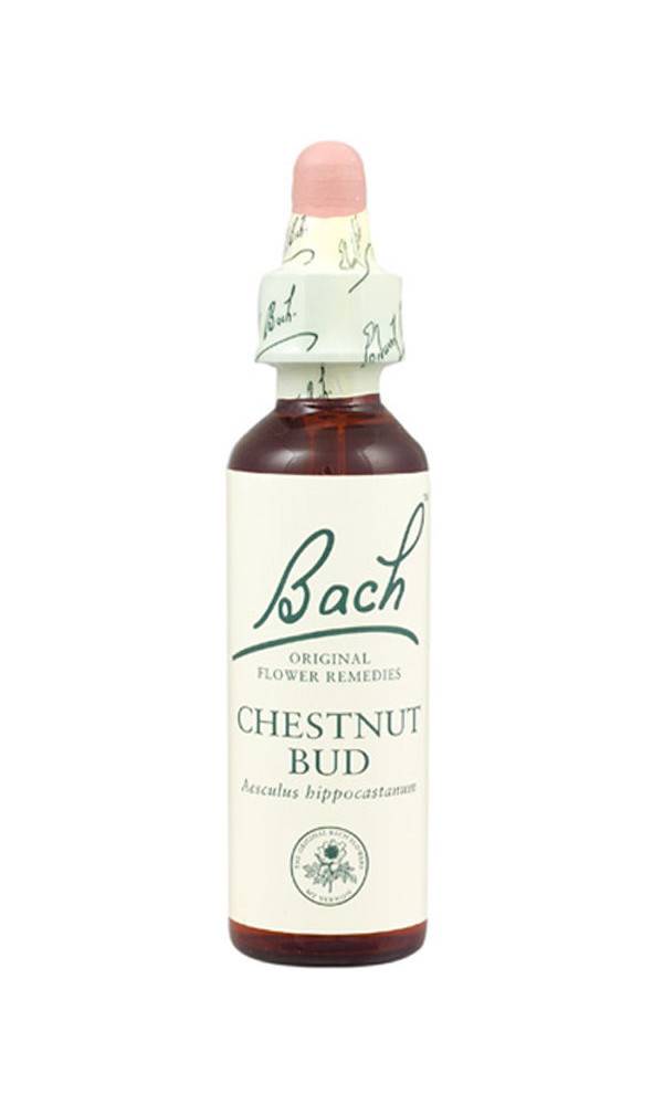 Chestnut bud - castan salbatic (bach7) 20ml - remediu floral bach