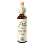 Chicory sau Cicoare (Bach 8) 20ml - Remediu Floral Bach