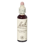 Clematis sau Curpen (Bach9 ) 20ml - Remediu Floral Bach