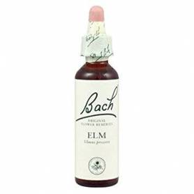 Elm sau Ulm (Bach11 ) 20ml - Remediu Floral Bach