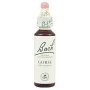 Gorse sau Orez Salbatic ( Bach 13) 20ml - Remdiu Bach Floral