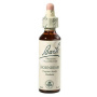 Hornbeam sau Carpen (Bach17 ) 20ml - Remediu Floral Bach
