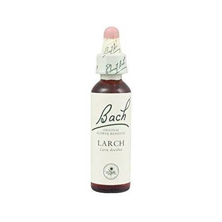 remedii florale bach pentru slabit