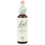 Larch sau Larita ( Bach 19) 20ml - Remediu Floral Bach