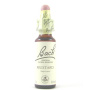 Mustard sau Mustar Salbatic ( Bach 21 ) 20ml - Remediu Floral Bach