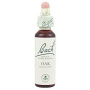 Oak sau Stejar ( Bach 22 ) 20ml - Remediu Floral Bach