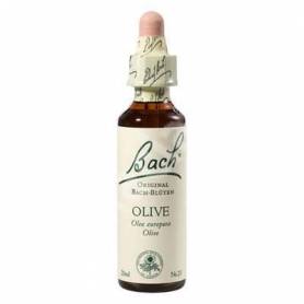 Olive sau Maslin ( Bach23 ) - Remediu Floral Bach