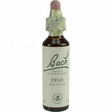 Pine sau Pin ( Bach 24 ) 20ml - Remediu Floral Bach