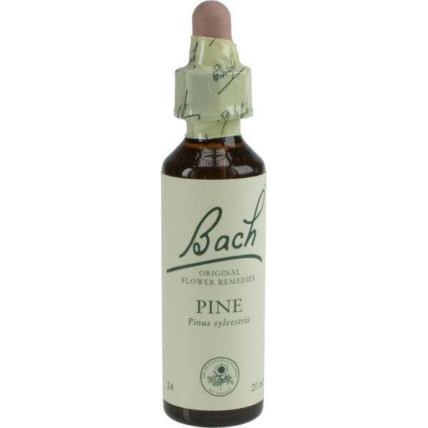 Pine - pin (bach24) 20ml - remediu floral bach