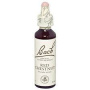Red chestnut - Castan rosu (Bach25) 20ml - Remediu Floral Bach