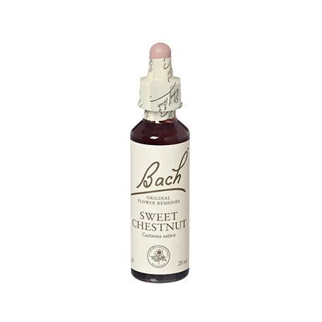 Sweet chestnut - Castan comestibil (Bach30) 20ml - Remediu Floral Bach
