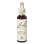 Sweet chestnut - Castan comestibil (Bach30) 20ml - Remediu Floral Bach