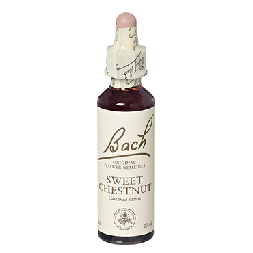 Sweet chestnut - castan comestibil (bach30) 20ml - remediu floral bach