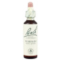 Vervain - Verbina (Bach31) 20ml - Remediu Floral Bach