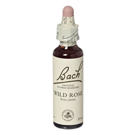 Wild rose - Maces (Bach37) 20ml - Remediu Floral Bach 