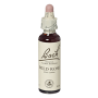 Wild rose - Maces (Bach37) 20ml - Remediu Floral Bach 