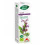 Extract BIO de salvie, 50 ml - Phyto-Biopole