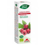 Extract BIO de paducel, 50 ml - Phyto-Biopole