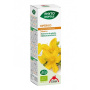 Extract BIO din sunatoare, 50 ml - Phyto-Biopole