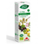 MIX PEC 7 DIN PLANTE, RESPIRATIE, 50 ML - Phyto-Biopole