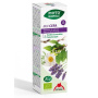 MIX CEFA 13 DIN PLANTE, DURERI DE CAP ȘI ANGOASE, 50 ML - Phyto-Biopole